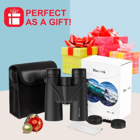 10x42 Binoculars for Adults - Professional HD Roof BAK4 Prism Lens Binoculars for Bird Watching, Hunting, Travel, Sports, Cruise, Concert, with Carrying Bag