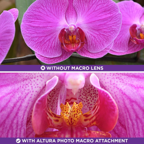 58MM 0.43x Altura Photo Professional HD Wide Angle Lens (w/Macro Portion) for Canon EOS 70D 77D 80D 90D Rebel T8i T7 T7i T6i T6s T6 SL2 SL3 DSLR Cameras